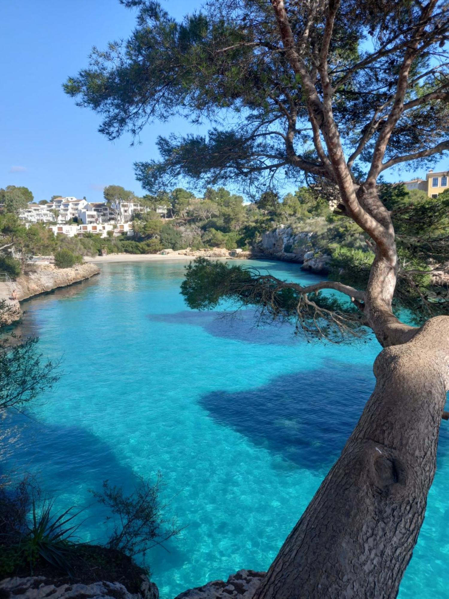 Ferrera Park Vue Apartment Cala Ferrera (Mallorca)